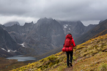 Fototapeta premium Woman Backpacking on Scenic Hiking Trail to Lake surrounded by Mountains during Fall in Canadian Nature. Taken in Tombstone Territorial Park, Yukon, Canada.