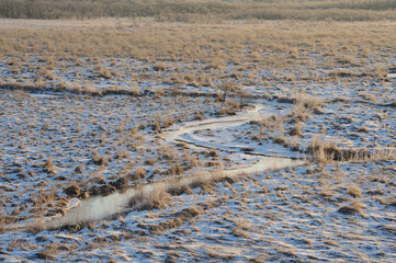 冬の釧路湿原（北海道・標茶町）