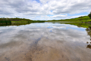 初夏の釧路湿原（北海道・鶴居村）