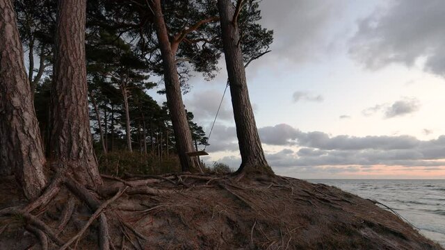 A wooden swing hanging between two pine trees growing on sandy hillside. Beautiful sunset on the Baltic sea at "Dutchman cap" place near Klaipeda.