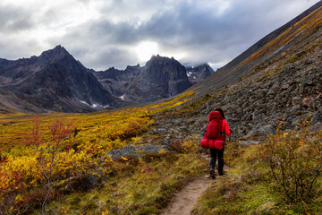 Fototapeta na wymiar Woman Backpacking on Scenic Hiking Trail surrounded by Rugged Mountains during Fall in Canadian Nature. Taken in Tombstone Territorial Park, Yukon, Canada.