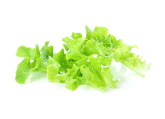 lettuce isolated on white background.