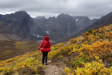 Woman Backpacking on Scenic Hiking Trail to Lake surrounded by Mountains during Fall in Canadian Nature. Taken in Tombstone Territorial Park, Yukon, Canada.