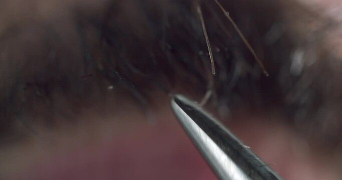 Extreme macro shot of a man cutting his mustache. Detail shot of the tip of scissors cutting beard hair.