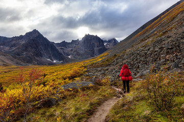 Woman Backpacking on Scenic Hiking Trail surrounded by Rugged Mountains during Fall in Canadian Nature. Taken in Tombstone Territorial Park, Yukon, Canada.