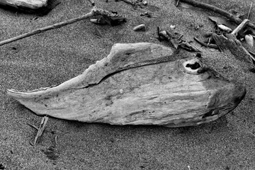 formes humaines dans la nature (arbres, bois mort, feuillage)