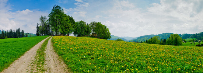 panoramic view of a meadow on hills with apple trees near schaefffern in the austrian region steiermark