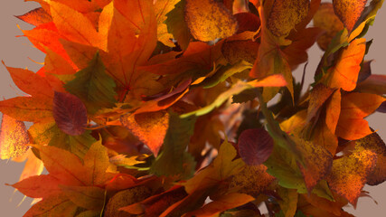 3D Abstract Splash of Autumn Fall Leaves Realistic Render on warm gray background 