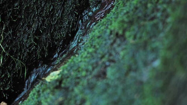 Water running on stone in the woods of Bornholm, Denmark
