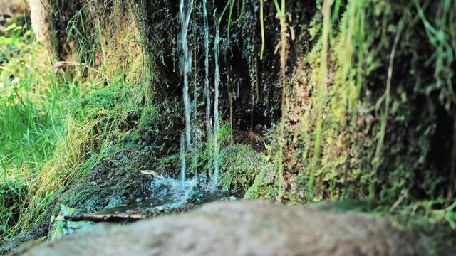 Water running the woods of Bornholm, Denmark