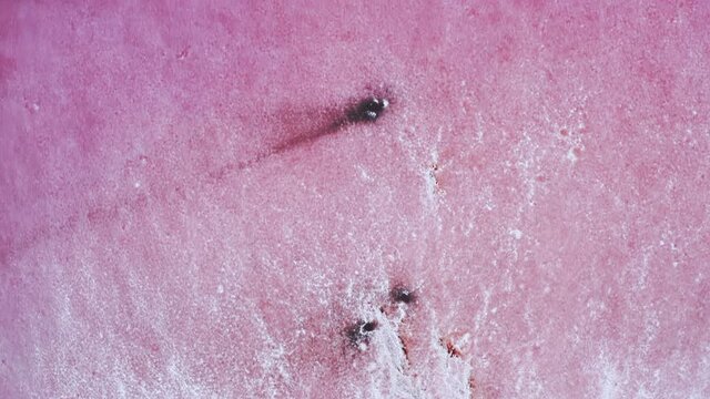 Aerial bird's eye view over a pink salt lake, which is a breath-taking natural phenomena caused by algae.