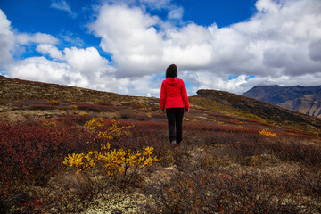 Woman hiking along Scenic Trail on a Mountain, during Fall in Canadian Nature. Taken in Tombstone Territorial Park, Yukon, Canada.