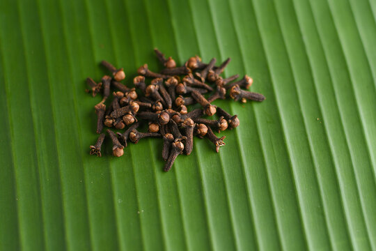 Indian spices dried clove orgainc spice Idukki Kerala. Indian Garam masala for making spicy curry, Masala tea, Ayurvedic medicine in India. Ayurveda for good health. Ingredient of curry powder.