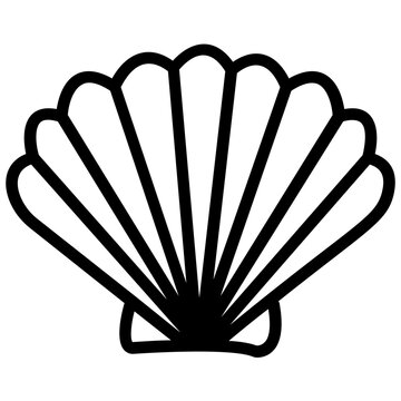 Seashell 