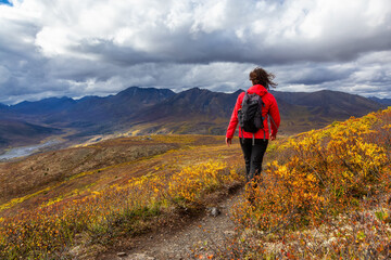 Obraz premium Scenic View of Woman Hiking on a Cloudy Fall Day in Canadian Nature. Taken in Tombstone Territorial Park, Yukon, Canada.