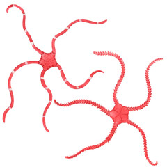 Beautiful set with watercolor starfish. Stock illustration.