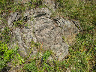 Volcano stone rose at Baranovsky Volcano, Vladivostok, Russia 