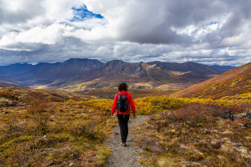 Fototapeta na wymiar Scenic View of Woman Hiking on a Cloudy Fall Day in Canadian Nature. Taken in Tombstone Territorial Park, Yukon, Canada.