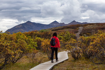 Woman Hiking along Scenic Trail surrounded by Mountains on a Cloudy Fall Day in Canadian Nature. Taken in Tombstone Territorial Park, Yukon, Canada.