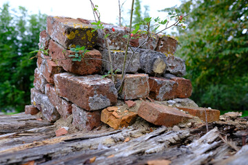 Bauschäden an einer Mauer