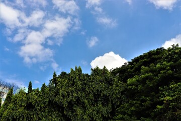 White and blue at Dhanmondi lake in Dhaka