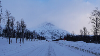 Fototapeta na wymiar Icy main road European route E6 near Oksfjordhamn, Troms og Finnmark, Norway with red colored snowplow markings, approaching truck, bare trees and snow-covered mountains with cloudy sky in winter.