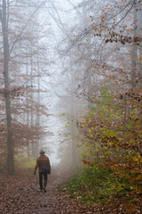 Fototapeta premium A misty autumn scene from Ulm countryside in the woods