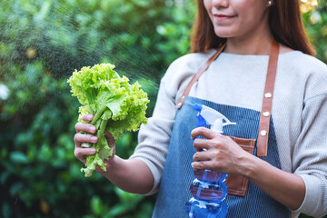 A young asian woman with apron spraying lettuce by foggy in the garden