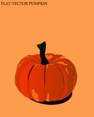 Flat vector orange colorful pumpkin