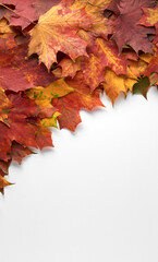 Border frame of colorful autumn leaves isolated on white background. Autumn, fall, thanksgiving day, nature concept. Flat lay, top view, copy space.