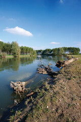 Naklejka premium fiume oglio