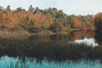 autumn trees reflected in water in fresh sunny October morning in Latvia