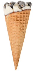 Ice cream in a waffle cone with currant berries isolated