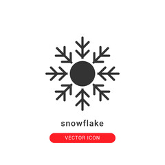 snowflake icon vector illustration. snowflake icon glyph design.