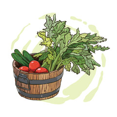 hand drawing of wooden bucket filled with vegetables