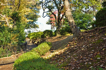 野毛山公園