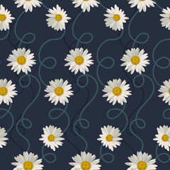 Seamless pattern with white daisies on blue background. Vector illustration