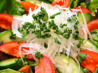 野菜サラダ