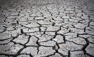 Dried land suffering from drought. Crackled clay texture
