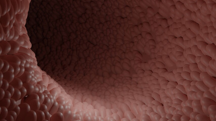 Inside Intestine.Intestinal villi 3d rendered illustration.