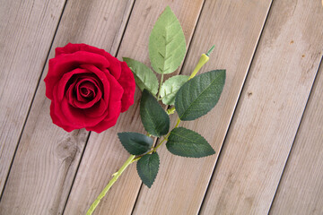 A red rose with flowers removed
