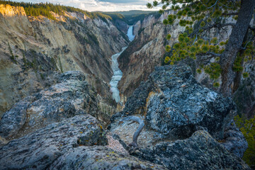 lower falls of the yellowstone national park from artist point at sunset, wyoming, usa