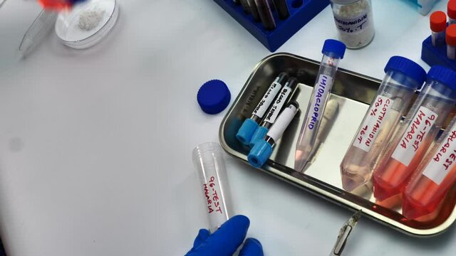 Laboratory research on the insecticide clothianidin, cause of malaria disease through The Anopheles family of malarial mosquitoes,
