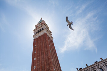 A seagull flies next to St. Mark's Campanile, the bell tower of St. Mark's Basilica in Venice, Italy.