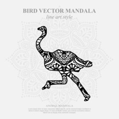 Bird Vector Mandala Line Art Style