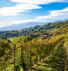 Naklejka na ściany i meble Italian vineyards landscape. View at panorama of small village at Valdobbiadene, Veneto area wine country of Prosecco Superiore.