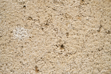 beige slab with brown splashes