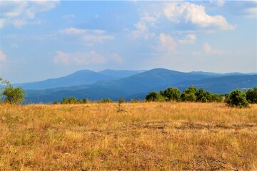 Obraz premium Bulgaria and views from cute and small villages during bright day. Forest, blue sky, mountain and yellow grasses are together in same photo.