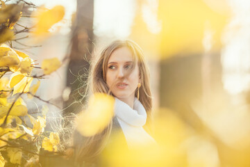 Portrait of a pretty young woman with light brown hair. Beautiful woman in the autumn garden among the colorful yellow foliage. Fall season. Blurred leaves in the foreground. Shallow depth of field.