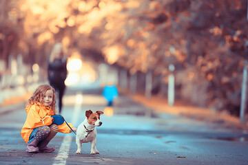 little girl with a dog jack russell terrier / child childhood friendship, pet, small dog in the autumn park walk